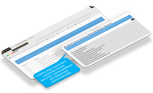 Detect Common Weakness Enumerations