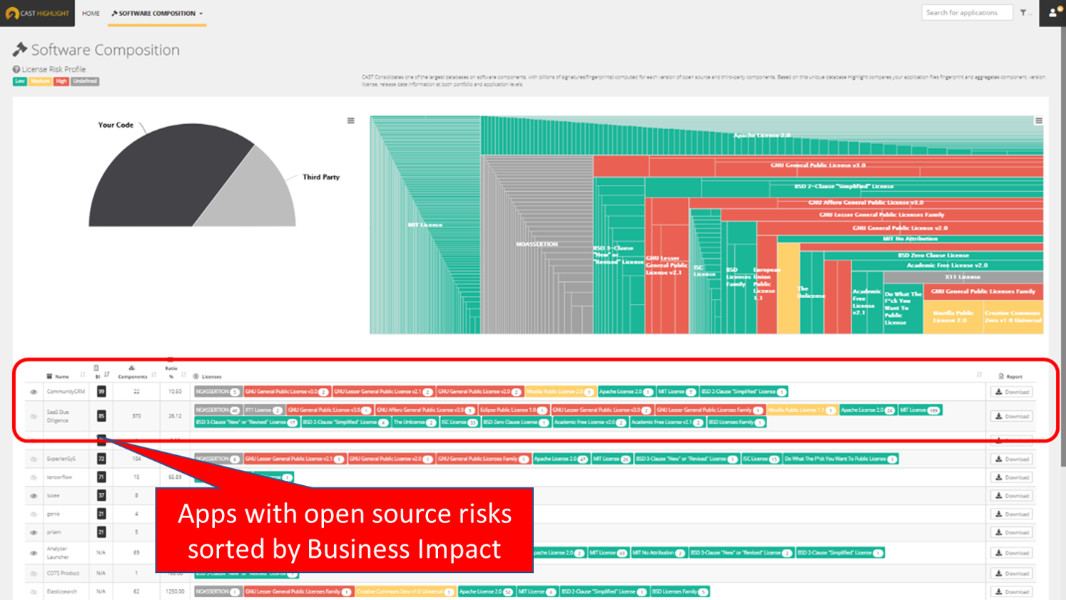 HL App Portfolio Open Source Risk and SCA - BI Callout (002)